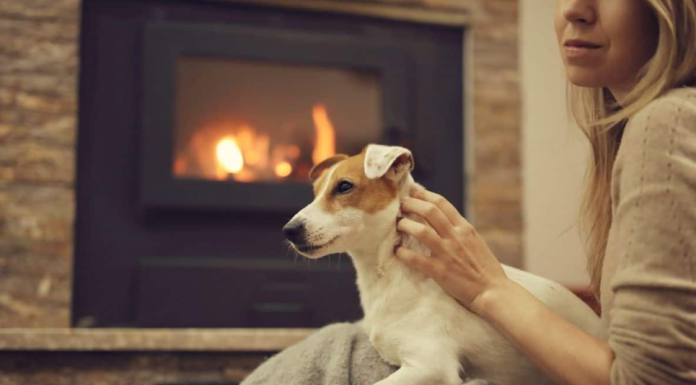 5 tips to make your home a sanctuary