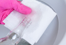 6 smart ways to clean the toilet naturally and easily