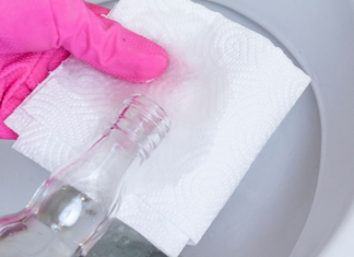 6 smart ways to clean the toilet naturally and easily