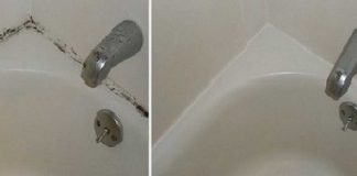 6+ super helpful tips to help combat bathroom mold