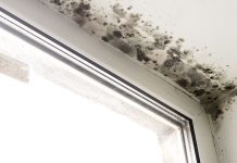 7 Effective Ways to Remove Mold Naturally