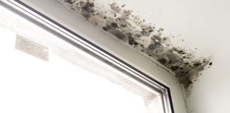 7 Effective Ways to Remove Mold Naturally