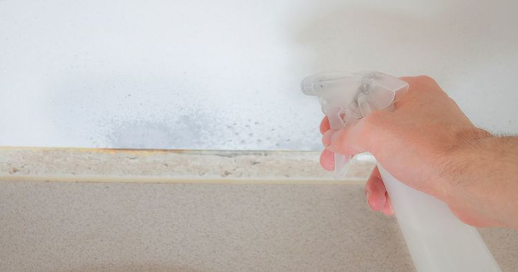 7 Effective Ways to Remove Mold Naturally - Cleaning & Household 2024 | PopcornTime