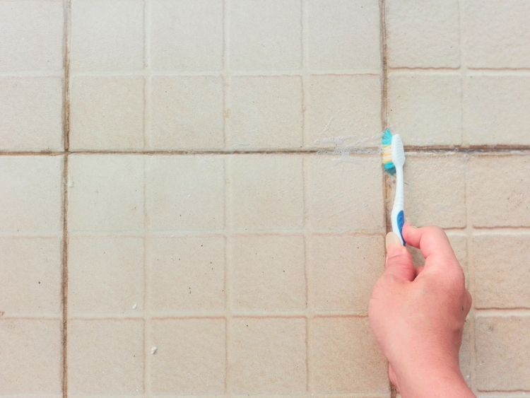 6+ super helpful tips to help combat bathroom mold - Cleaning & Household 2024 | PopcornTime
