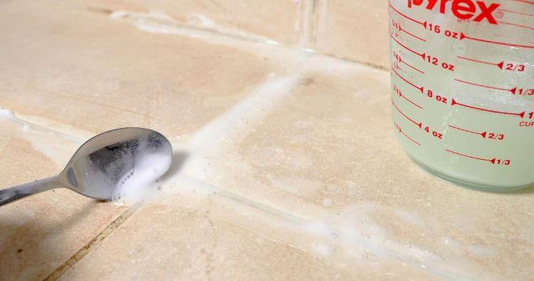 6+ super helpful tips to help combat bathroom mold - Cleaning & Household 2024 | PopcornTime