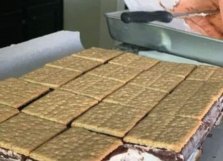 S’MORES ICE CREAM SANDWICHES