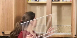 How to store canned goods in an organized and efficient way?