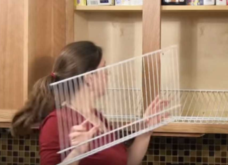 How to store canned goods in an organized and efficient way?