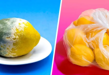 The trick to storing lemons for 3 months or more and prevent them from rotting