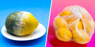 The trick to storing lemons for 3 months or more and prevent them from rotting