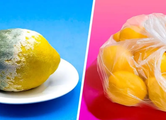The trick to storing lemons for 3 months or more and prevent them from rotting