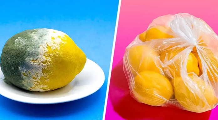 The trick to storing lemons for 3 months or more and prevent them from rotting
