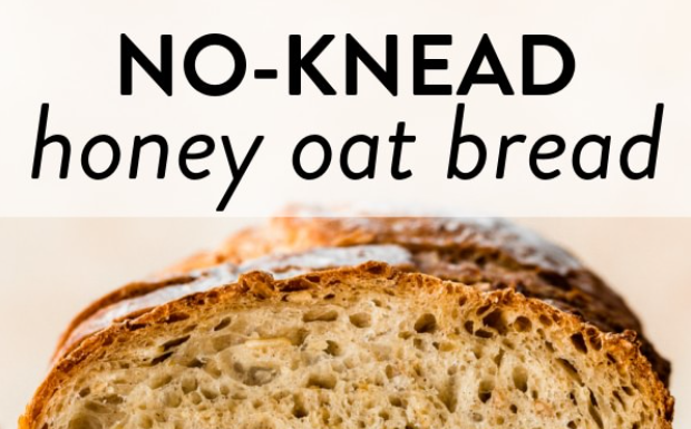 No-Knead Honey Oat Bread