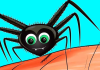 Why should you never eliminate spiders from your home?