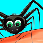 Why should you never eliminate spiders from your home?