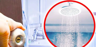 Why is it important to leave the bathroom door open after a shower?