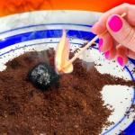 How to keep mosquitoes away with coffee grounds?