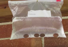 Many People Are Hanging Bags Of Water Above Their Doors To Deter Bugs