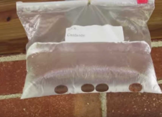 Many People Are Hanging Bags Of Water Above Their Doors To Deter Bugs