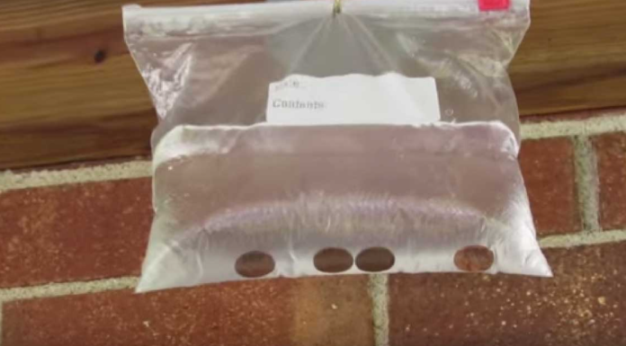 Many People Are Hanging Bags Of Water Above Their Doors To Deter Bugs