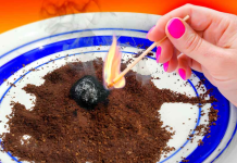 How to keep mosquitoes away with coffee grounds?