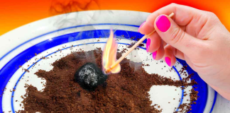 How to keep mosquitoes away with coffee grounds?