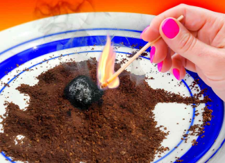 How to keep mosquitoes away with coffee grounds?