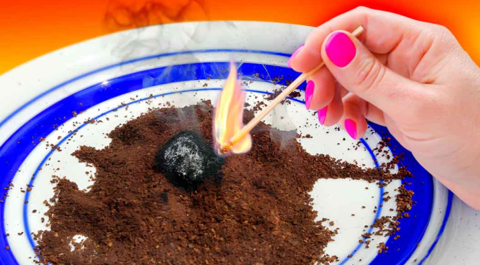 How to keep mosquitoes away with coffee grounds?