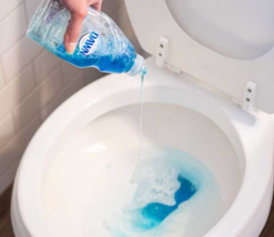 The Handyman Method For Unclogging A Toilet (No Plunger Required!)