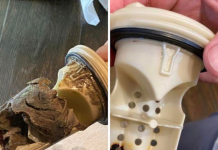 Why your clean laundry may not smell as good as it should