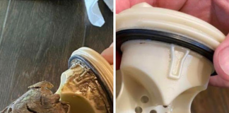 Why your clean laundry may not smell as good as it should