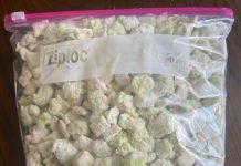 PISTACHIO PUPPY CHOW