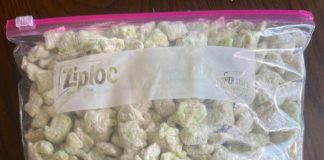 PISTACHIO PUPPY CHOW