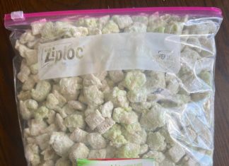 PISTACHIO PUPPY CHOW