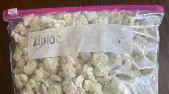 PISTACHIO PUPPY CHOW