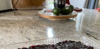 COPY THE BLUEBERRY JAMBOREE OF BOULANGERIE MAGNOLIA