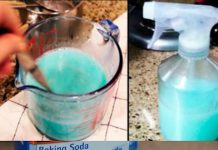 THE MIXTURE THAT WILL MAKE YOUR HOME SMELL SO WONDERFUL… YOUR NEIGHBORS WILL ENVY YOU