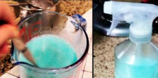 THE MIXTURE THAT WILL MAKE YOUR HOME SMELL SO WONDERFUL… YOUR NEIGHBORS WILL ENVY YOU