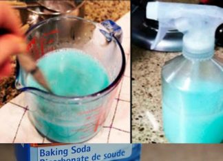 THE MIXTURE THAT WILL MAKE YOUR HOME SMELL SO WONDERFUL… YOUR NEIGHBORS WILL ENVY YOU