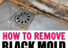 Home DIY HOW TO REMOVE MOLD FROM CAULK