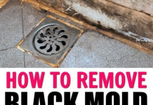 Home DIY HOW TO REMOVE MOLD FROM CAULK