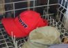 How to Wash a Hat ~ Baseball Caps & more