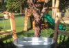 Deck Water Feature