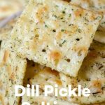 DILL PICKLE SALTINES