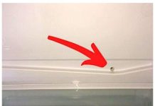 How to Unclog the Fridge Drain Hole (And Avoid the Water Dripping Everywhere).