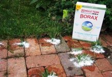 12 Ways To Use Borax Around The House