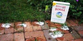 12 Ways To Use Borax Around The House