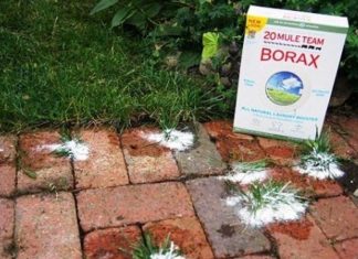 12 Ways To Use Borax Around The House