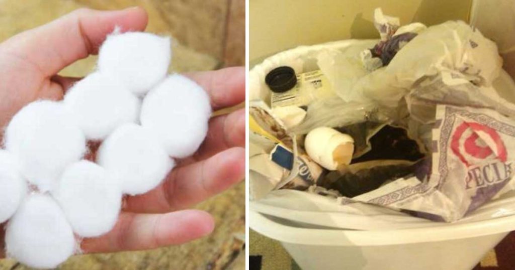 How to Deodorize a Smelly Trash Can with Cotton Balls - Life Style 2024 | PopcornTime