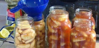 Artisanal Apple Pie Filling